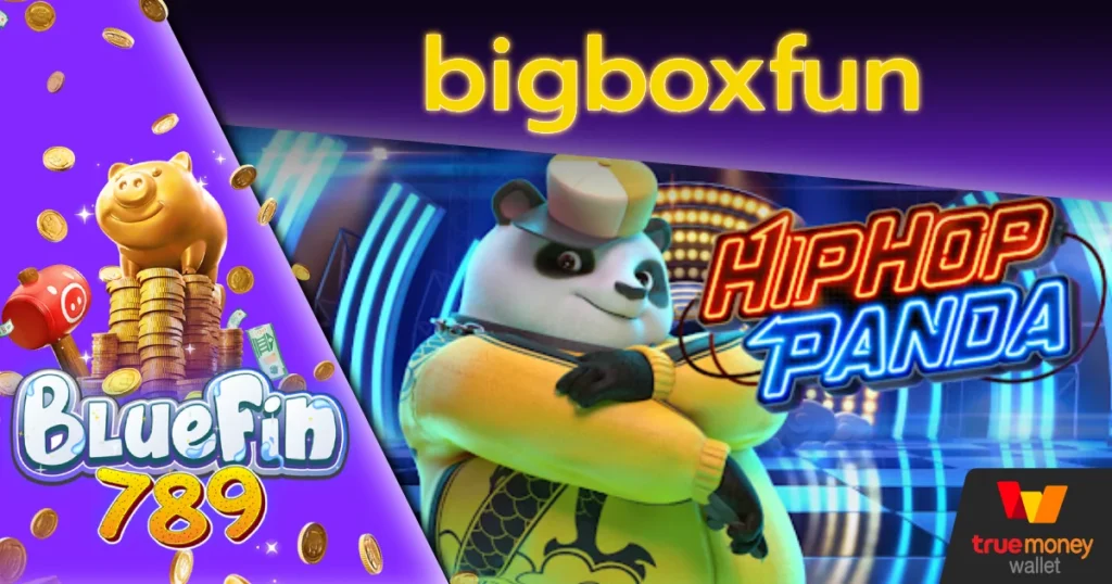 bigboxfun