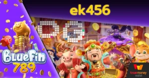 ek456
