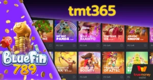 tmt365