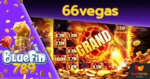 66vegas