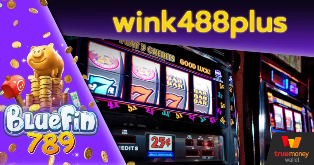 wink488plus