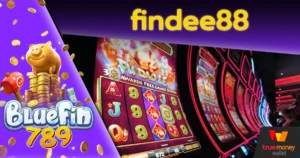 findee88